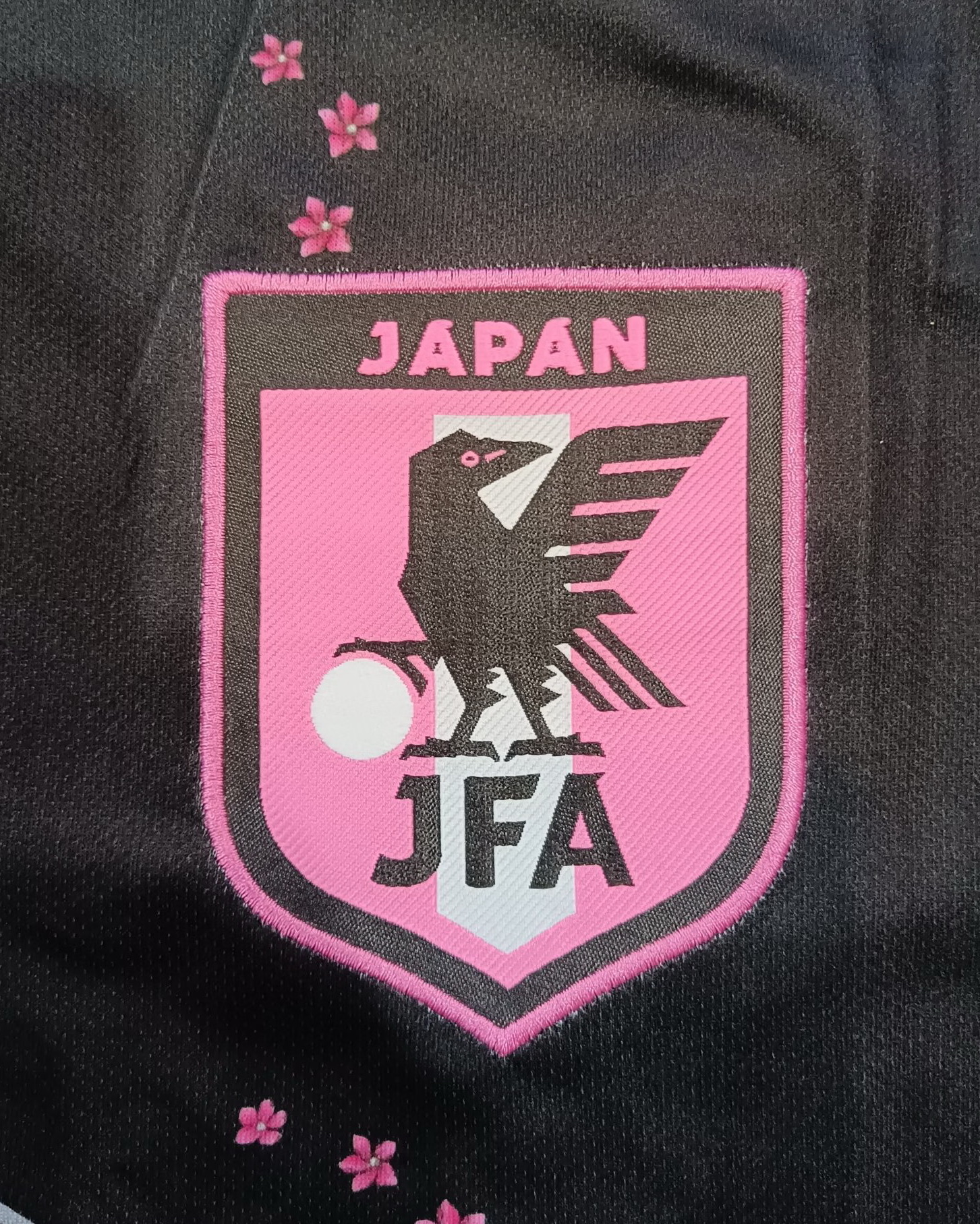 Japan 2023/24 Tokyo Black Jersey