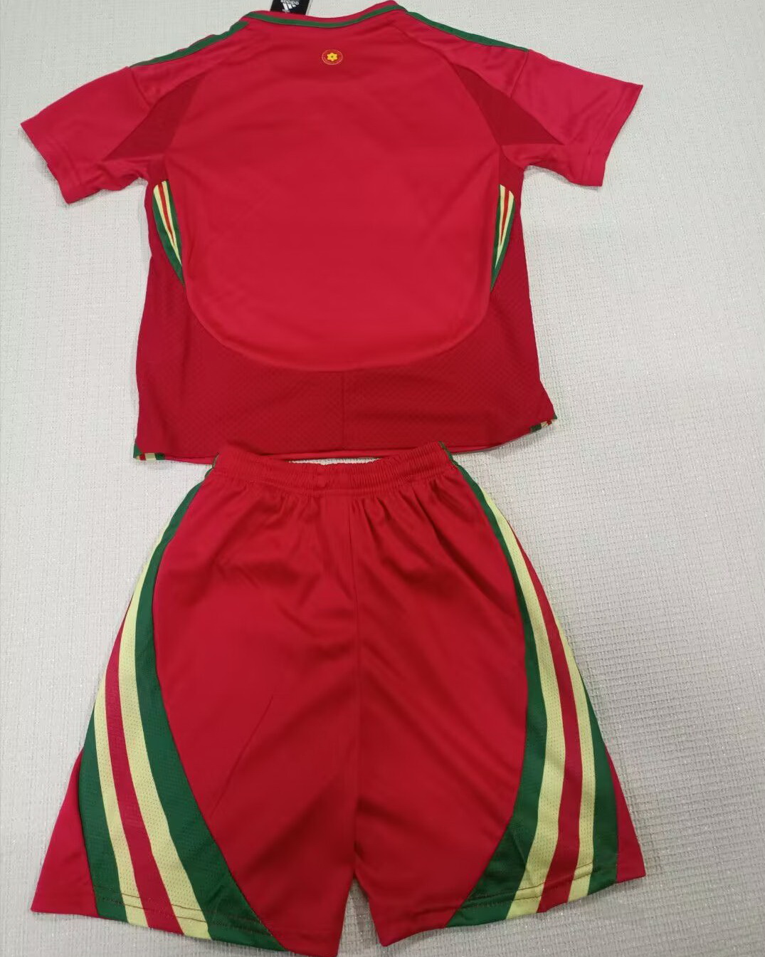 Kid Wales 2024 European Cup Home Soccer Jersey Kit