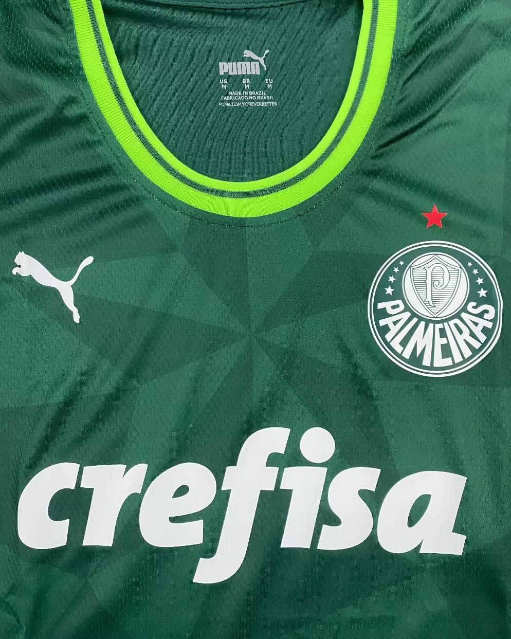 Woman Palmeiras 2023/24 Home Green Jersey